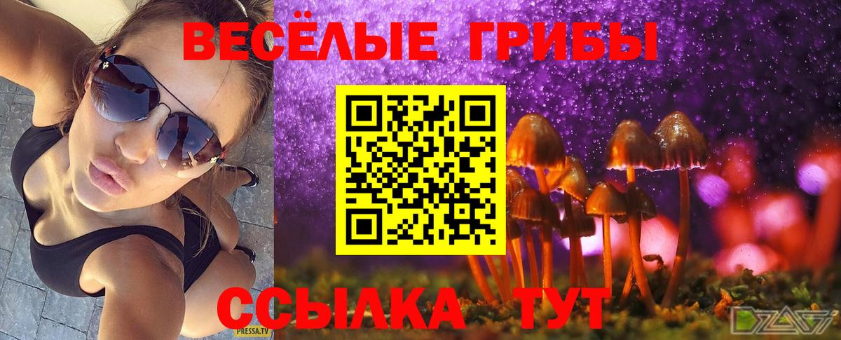 Пыть-Ях  Галлюциногенные грибы Cubensis  Псилоцибиновые грибы мицелий  Вход с VPN 