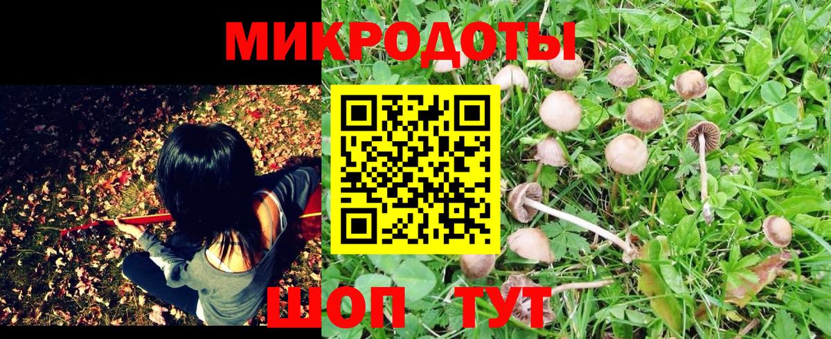 Галлюциногенные грибы прущие грибы Пыть-Ях